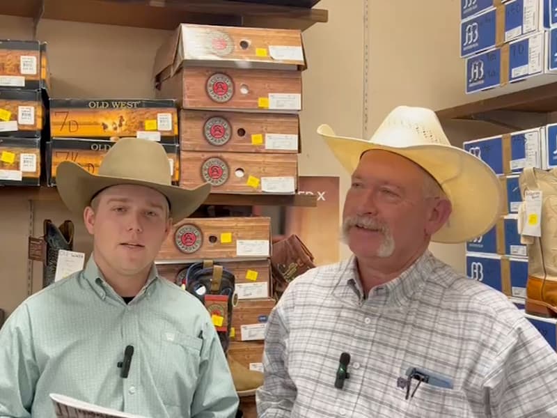 Terry Martin of the HPRBA Horse Sale